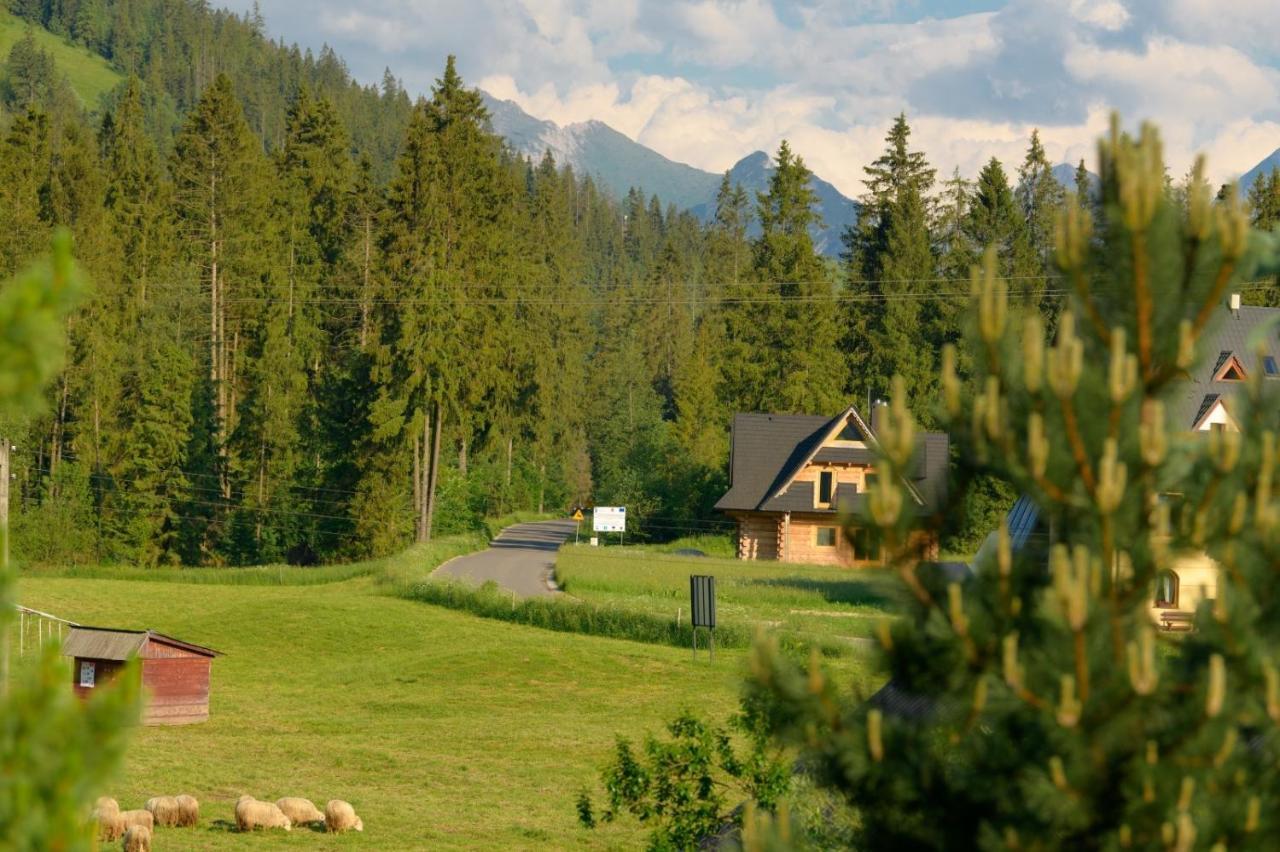 Na Kosnych Apartamento Poronin Exterior foto